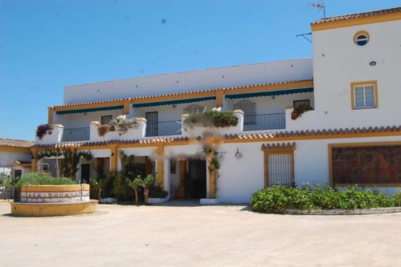 Finca La Tacita - Petunia Кониль-де-ла-Фронтера Экстерьер фото
