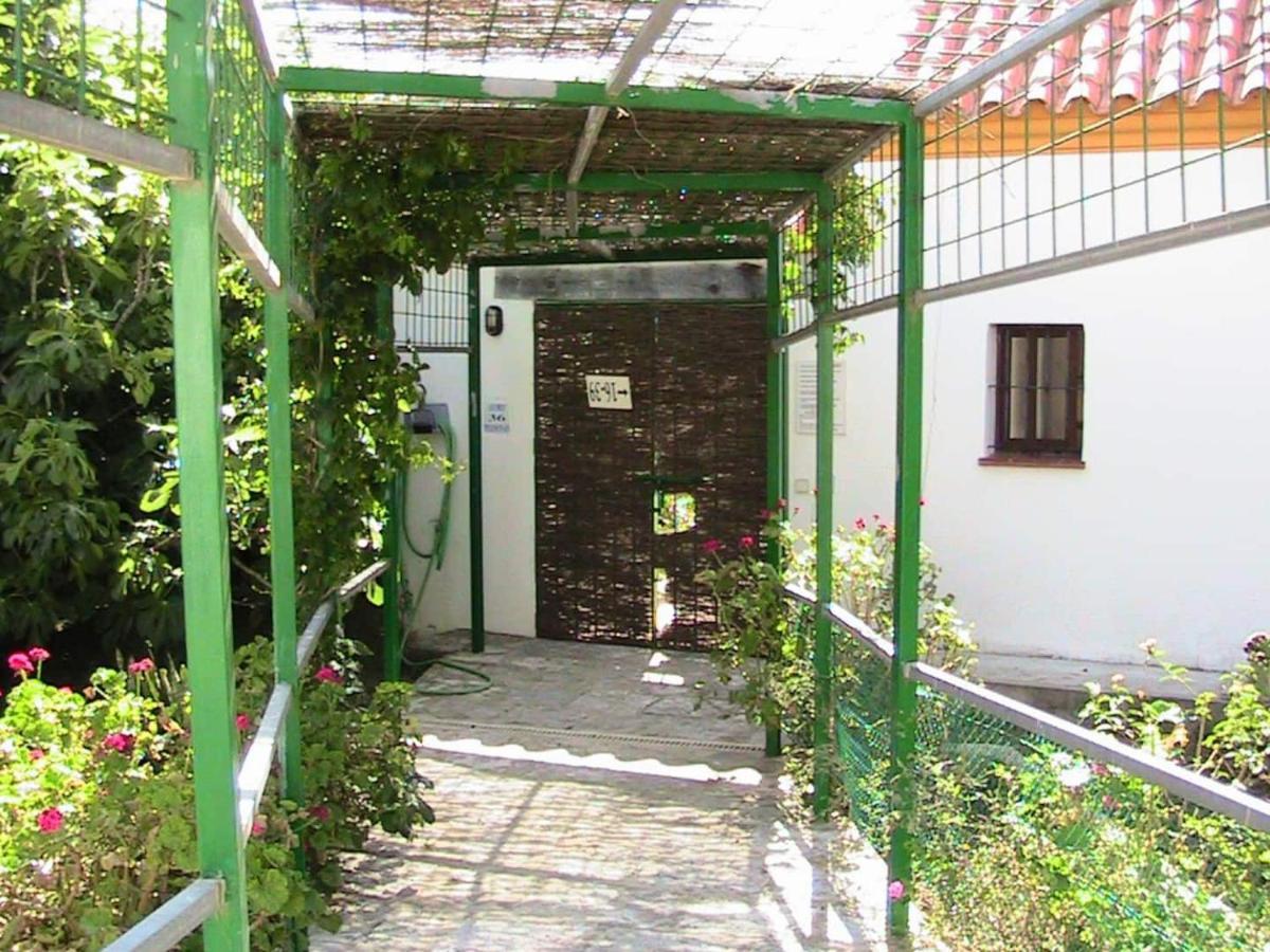 Finca La Tacita - Petunia Кониль-де-ла-Фронтера Экстерьер фото