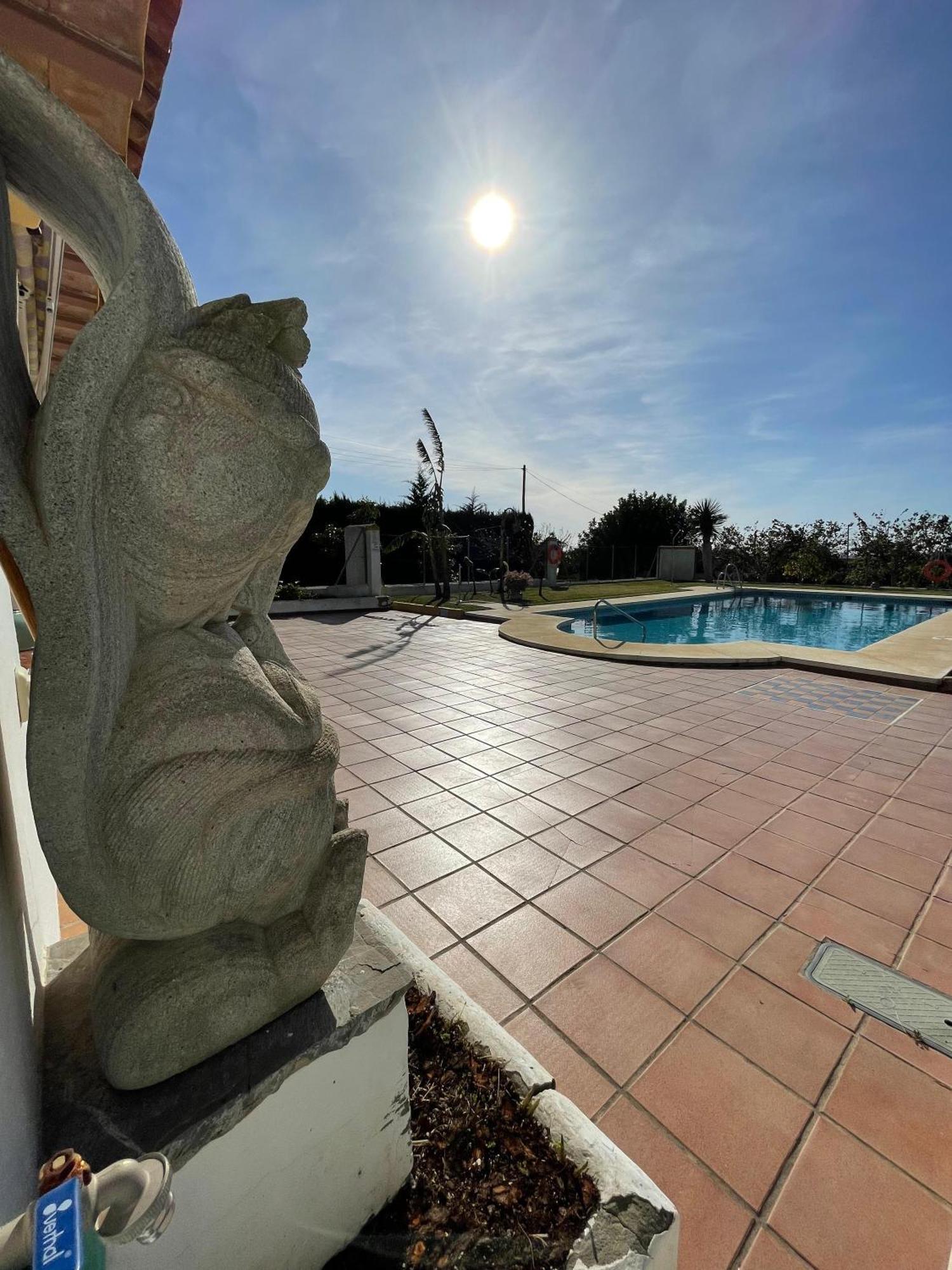 Finca La Tacita - Petunia Кониль-де-ла-Фронтера Экстерьер фото