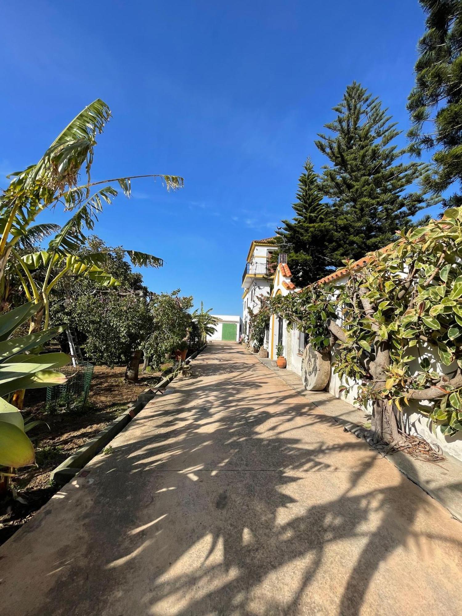 Finca La Tacita - Petunia Кониль-де-ла-Фронтера Экстерьер фото